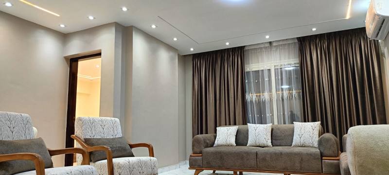 Cairo Apartment — photo 5