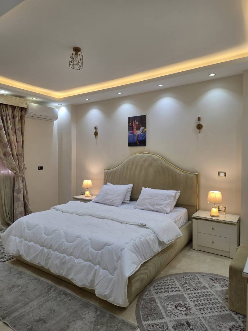 elegant apartment in new Cairo