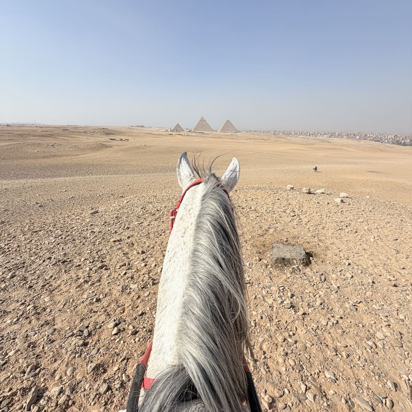 Beginner Horse Riding & Photoshoot with Pyramids View — photo 2