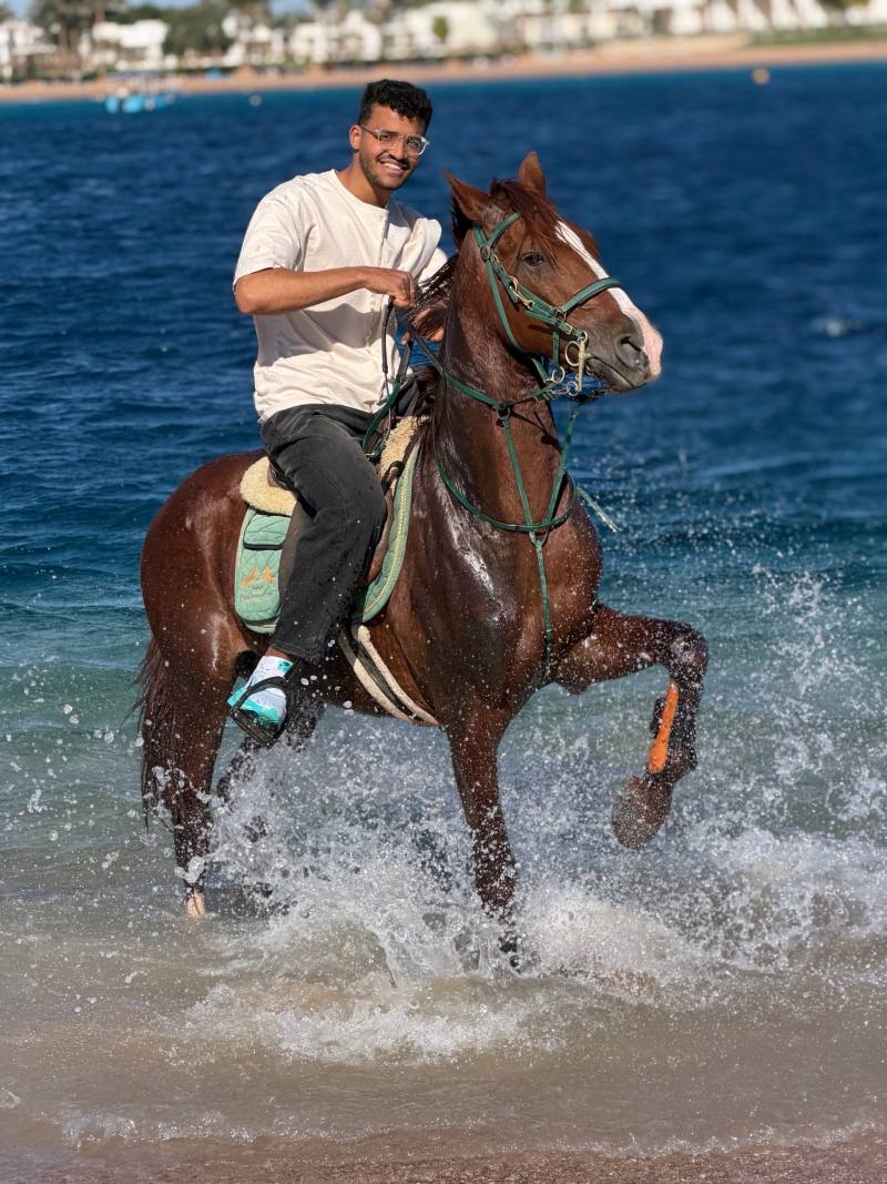 Horse riding in Dahab — photo 4