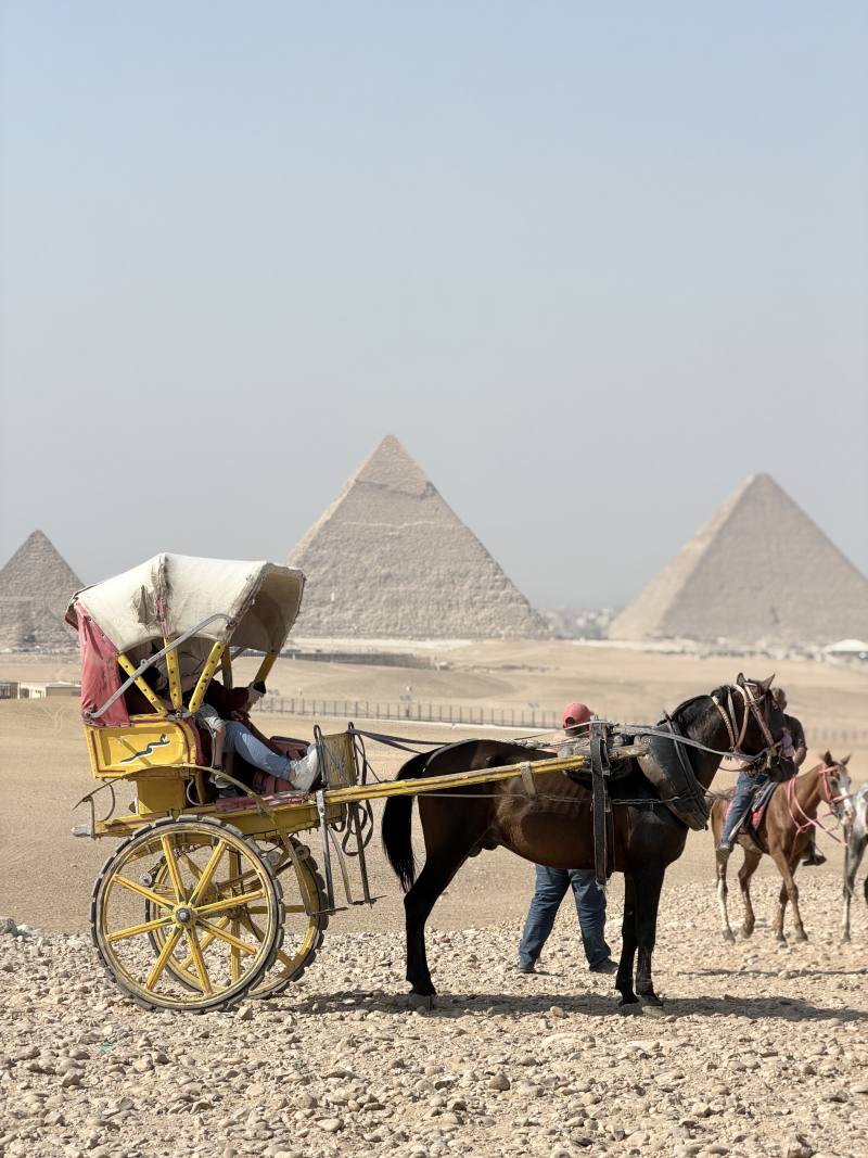 Horse Carriage Ride at the Pyramids