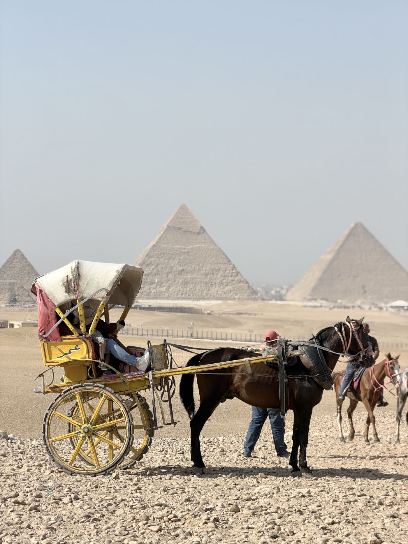 Horse Carriage Ride at the Pyramids