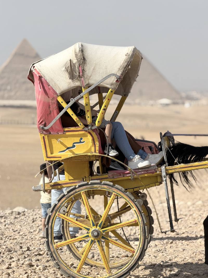 Horse Carriage Ride at the Pyramids — photo 2