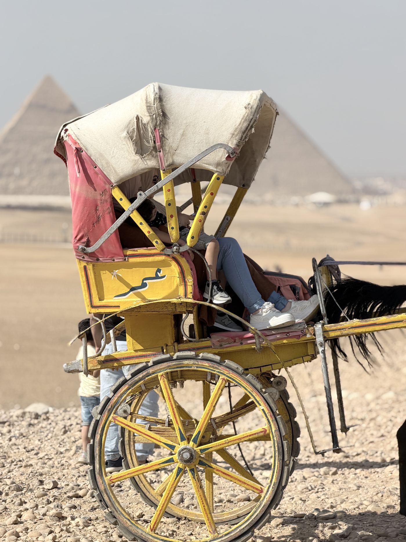 Horse Carriage Ride at the Pyramids — photo 2