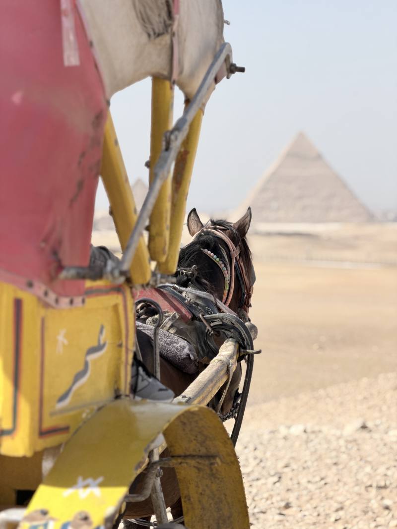 Horse Carriage Ride at the Pyramids — photo 3
