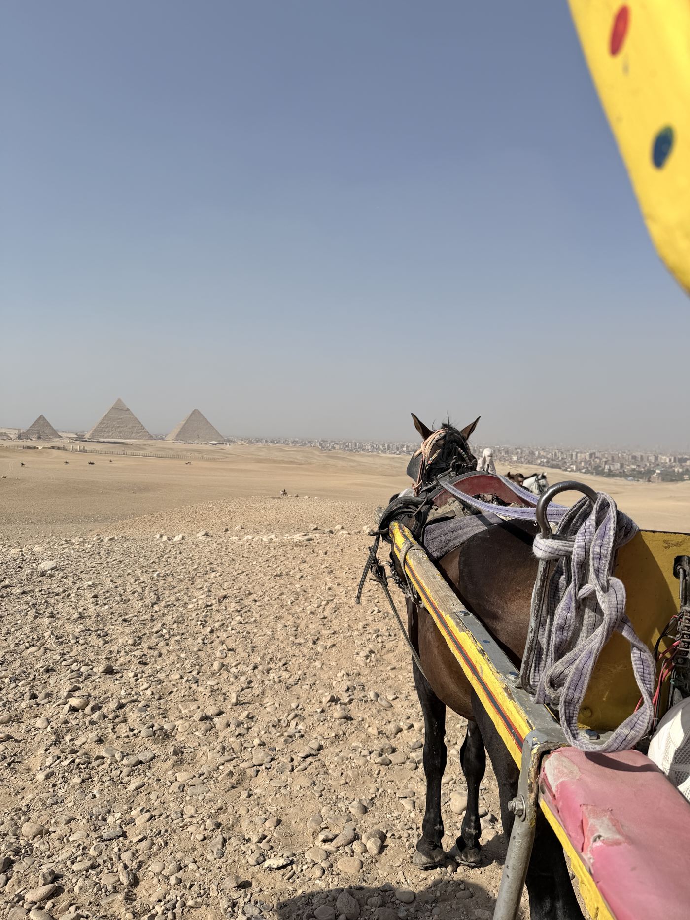 Horse Carriage Ride at the Pyramids — photo 4