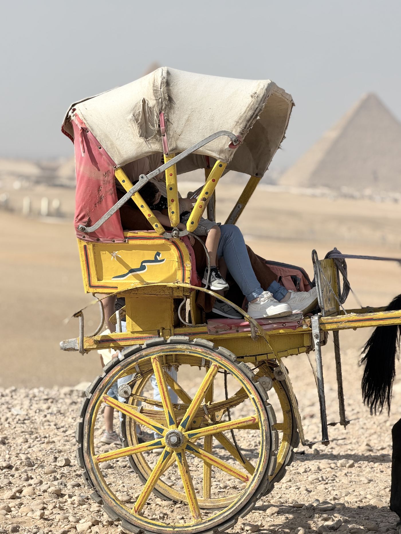 Horse Carriage Ride at the Pyramids — photo 5