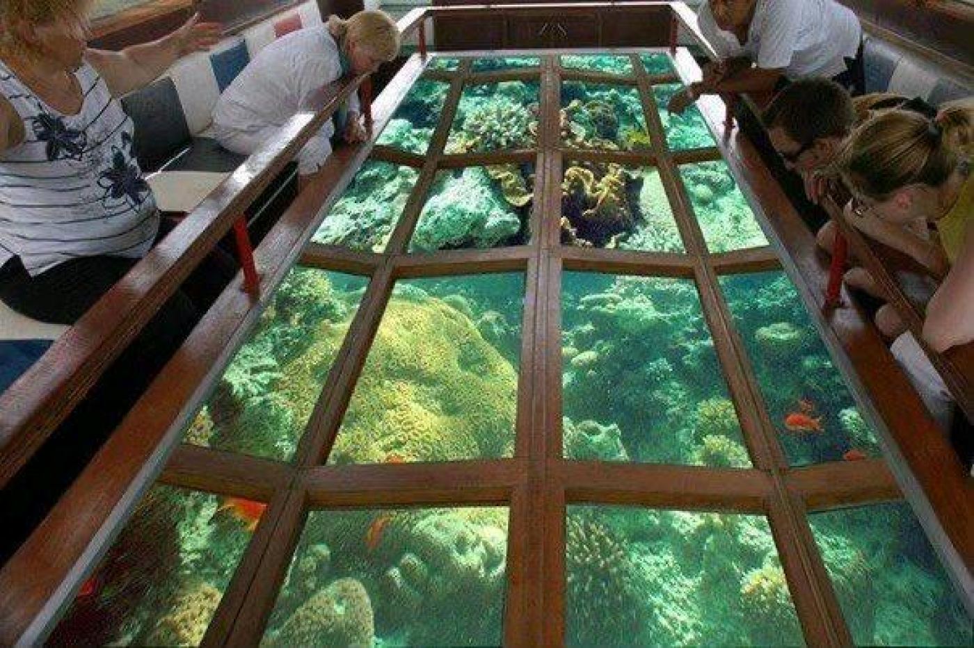 glass boat — photo 3