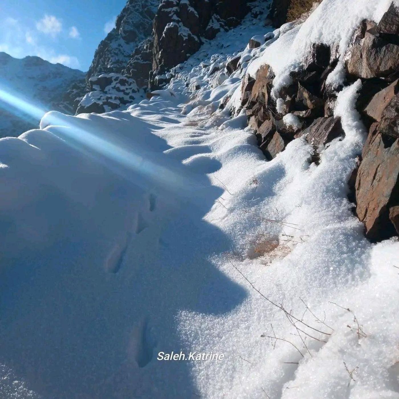 Vanezuella Mountain Soul (Saint Catherine & Wadi El Talaa)