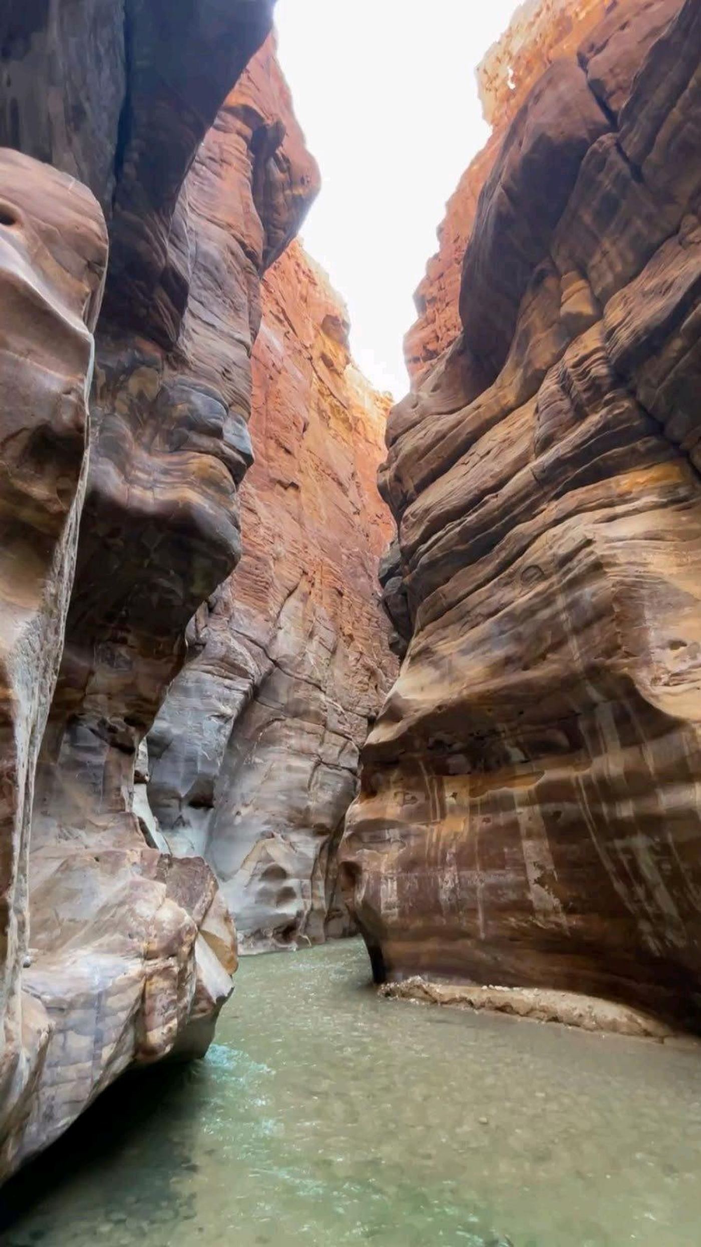Vanezuella Mountain Soul (Saint Catherine & Wadi El Talaa) — photo 4