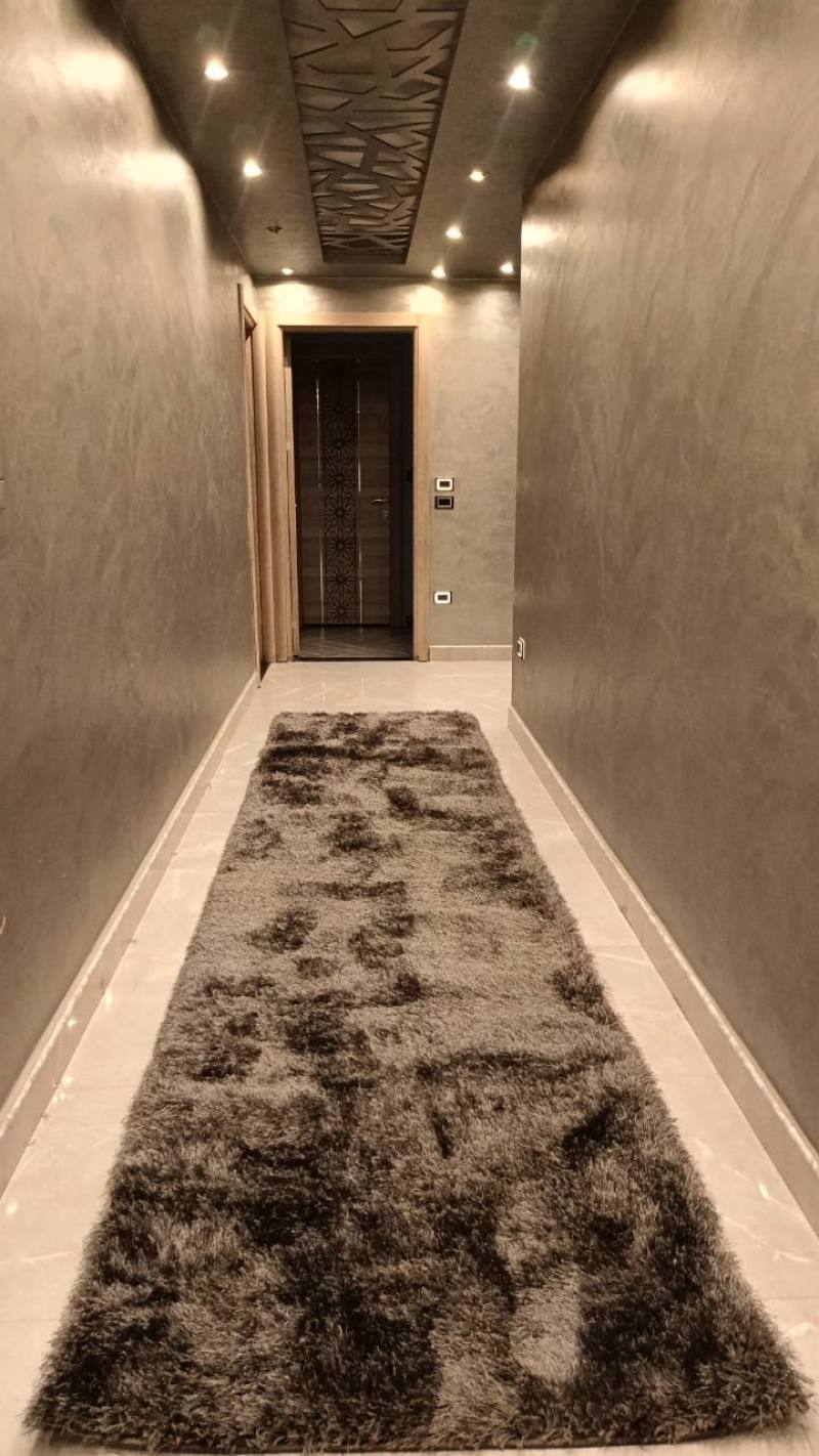 Luxury Apartment Nasr City
