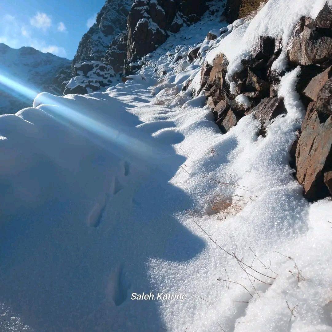 Vanezuella Mountain Soul (Saint Catherine & Wadi El Talaa)