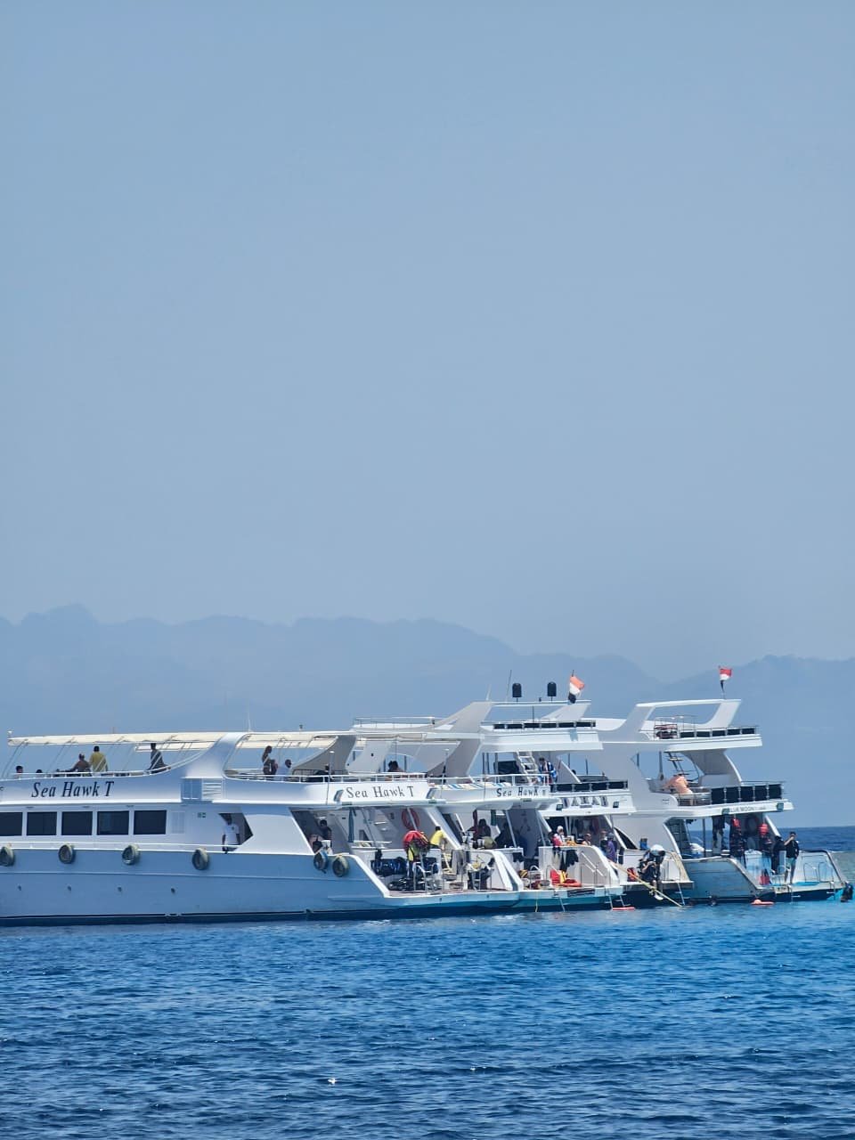 صورة الفعالية