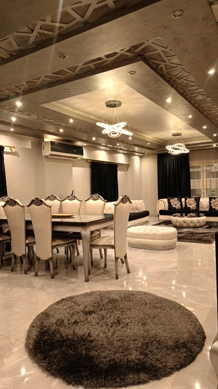Luxury Apartment Nasr City