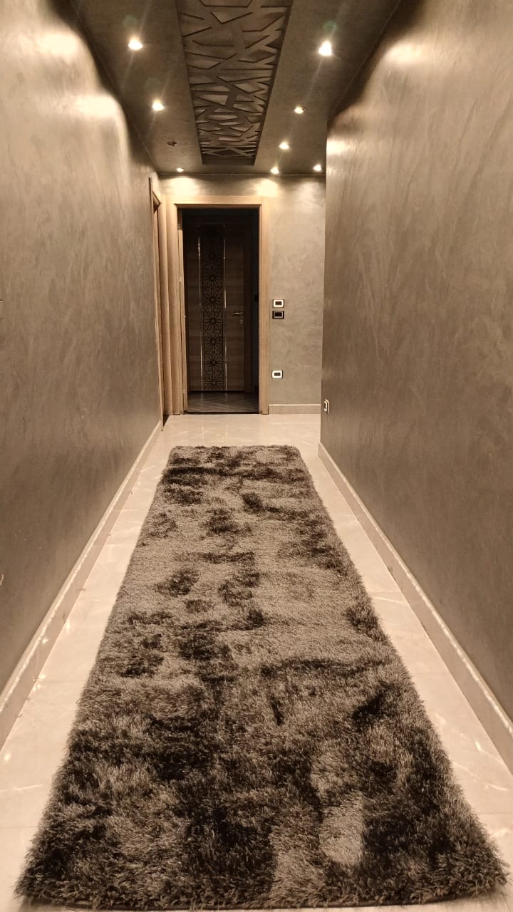 Luxury Apartment Nasr City